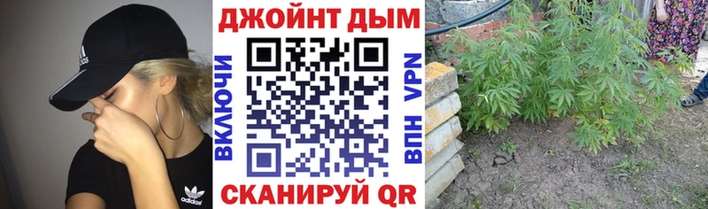 МЕТАДОН Удомля