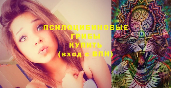 тгк Алексеевка